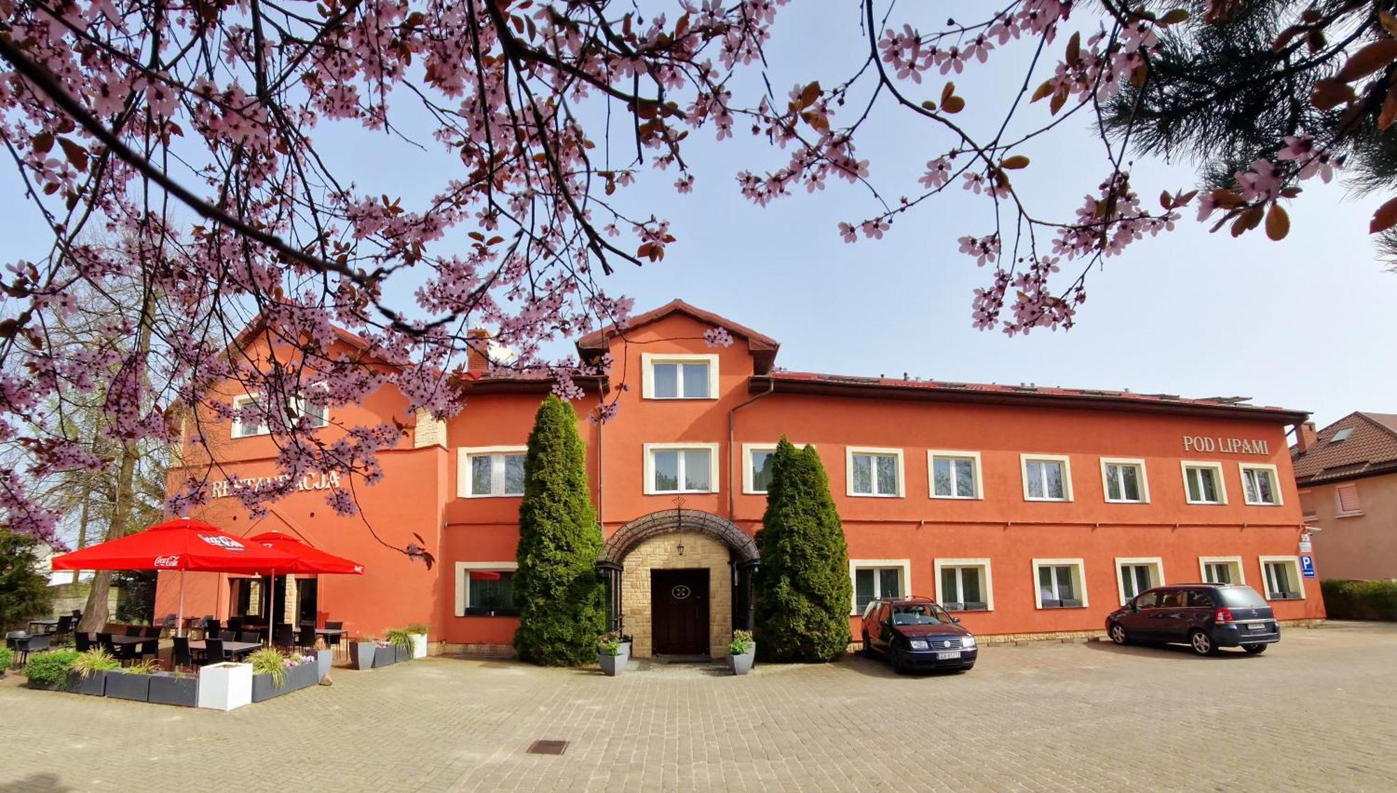 Hotel Pod Lipami Bystra  Esterno foto
